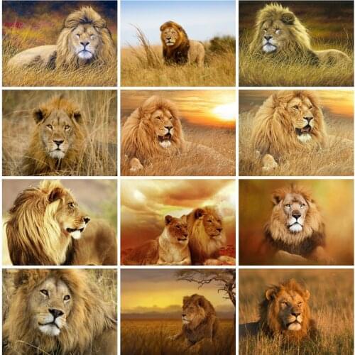 EverShine Diamond Embrodiery Lion Cross Stitch Diamond Painting Animals Bead Picture Kits Rhinestones Art Decroation Home