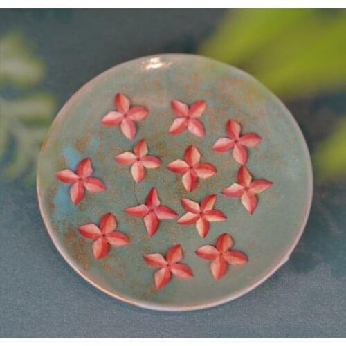 100pcs Pressed Dried Ixora chinensis Lam. Flower Plant Herbarium For Jewelry Postcard Bookmark Phone Case Invitation Card DIY