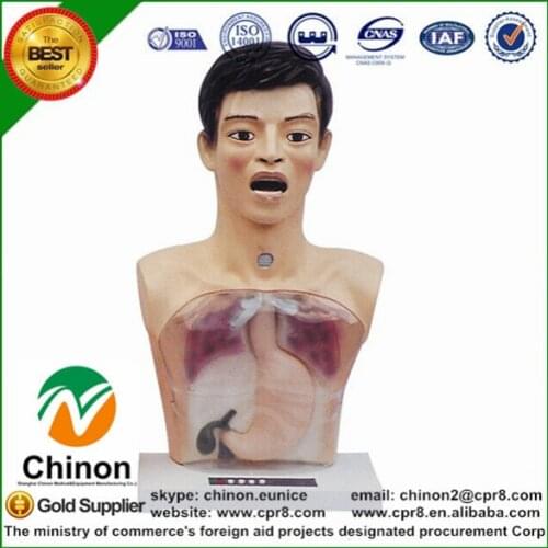 BIX-H4/1 Medical Science Alarm System Transparent Gastric Lavage Model W169