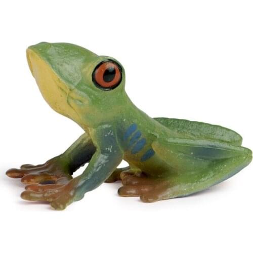 Red Eyed Tree Frog Animal Figure Collectible Toys Wild Animal Cognition Action Figures Kids Plastic Toys