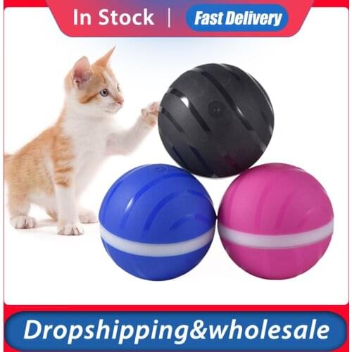 Newest Pet Ball Toy Waterproof Pet Wicked Ball Anti-bite Environment Friendly Pet Playing Ball Support Drop Shipping Wholesale