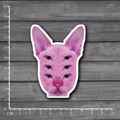 Spider Cat waterproof Graffiti Scrapbooking Stationery Sticker Decor Decal For Ablum Diary Laptop Luggage Skateboard[Single]