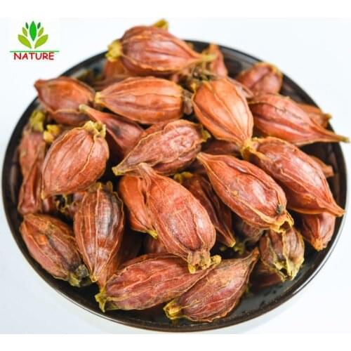 Zhi Zi, Gardenia, Cape Jasmine Fruit