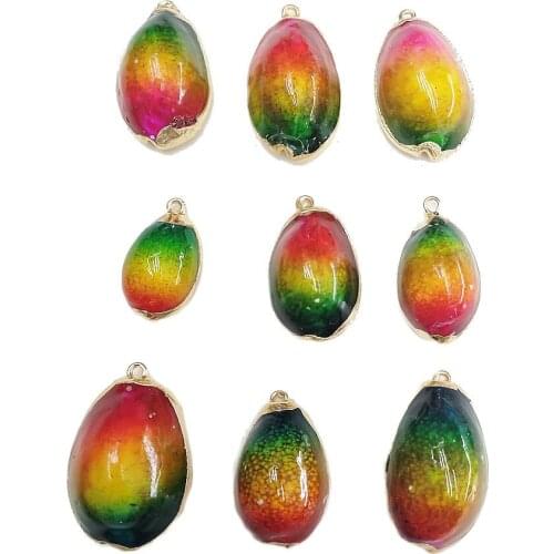 5pcs Natural Conch Shell Colorful Charm Jewelry Making 20*34mm Gilt edge Round Small Pendant for DIY Necklace Choker Accessories