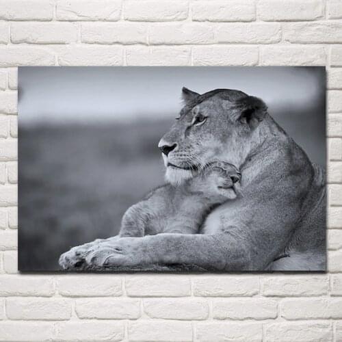 Cats wild Lioness mother cub Predators animales life Tenderness KD151 living room home wall art decor wood frame fabric posters