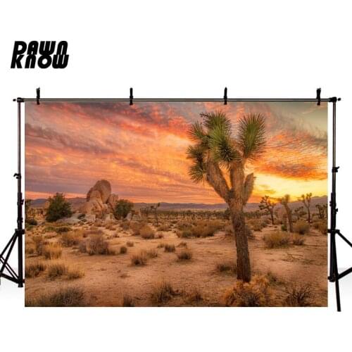 DAWNKNOW Desert Photography Background Setting Sun Scenic Cactus Photographic Backdrops Wedding Children Photocall lv1153