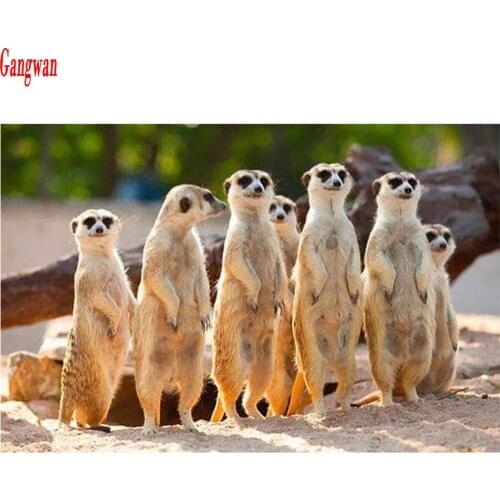 5D DIY Diamond Painting meerkat,mongoose Full Square Round drill Diamond Embroidery Mosaic Picture Of Rhinestone hobby decoation