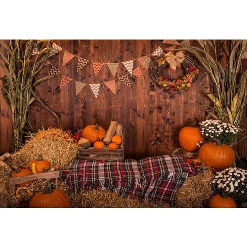 Halloween Digital Backdrop, Fall Digital Background, Pumpkin Backdrop, Halloween Background, Pumpkin House,Fall Backdrop