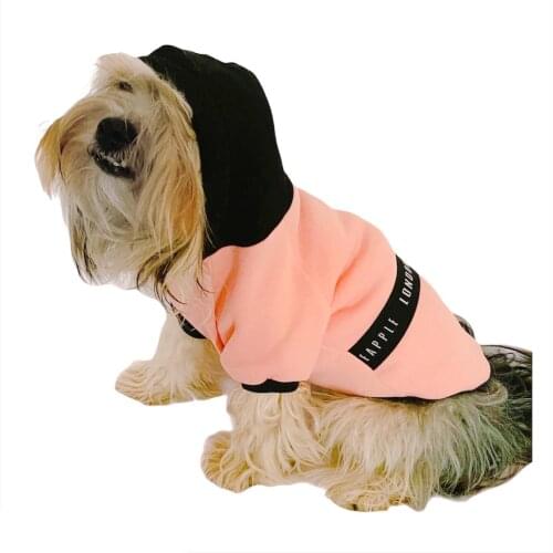 London Pineapple Pink Hoodie for Dogs, For Small Breeds, Dog Clothes, Pet Clothes