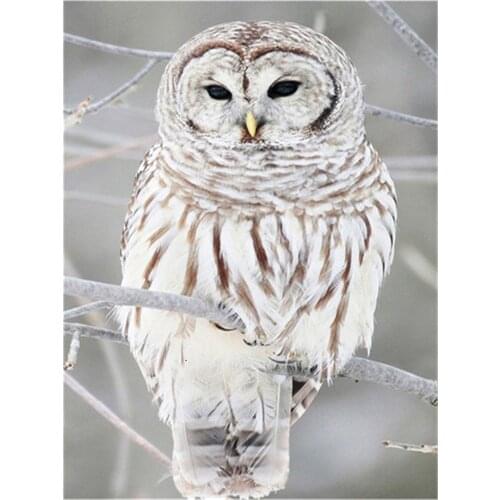 Bird Owl Animal DIY Cross Stitch 11CT Embroidery Kits Needlework Craft Set Printed Canvas Cotton Thread Home Wholesale