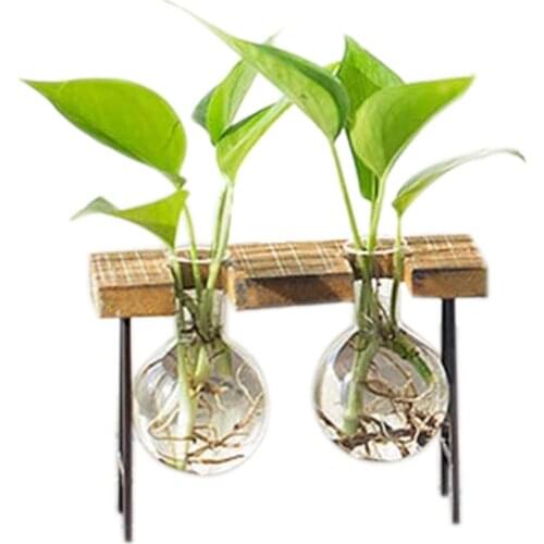 Glass Vase Planter Mini Retro Flower Pot Home Party Hydroponic Decoration Gift