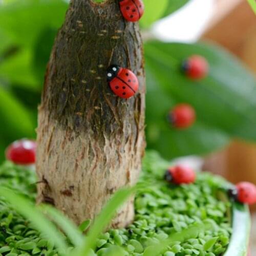 10Pcs/lady bugs/insects/beatle/miniatures/lovely animal/fairy garden gnome/moss terrarium decor/crafts/bonsai/bottle garden/r008