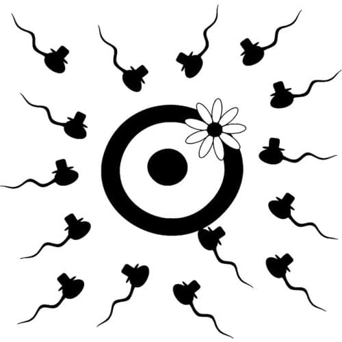 16.6cm*16.3cm Birth Creative Decor Vinyl Car Sticker Car Accessories Black/Silver S3-5815