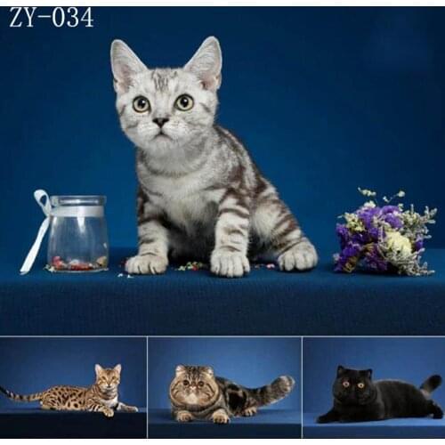 DAWNKNOW Pet Photography Background Backdrop Uniquely Painting Pro Tie-Dyed Muslin Cat Photocall Shoot Photo Studio 2x3M