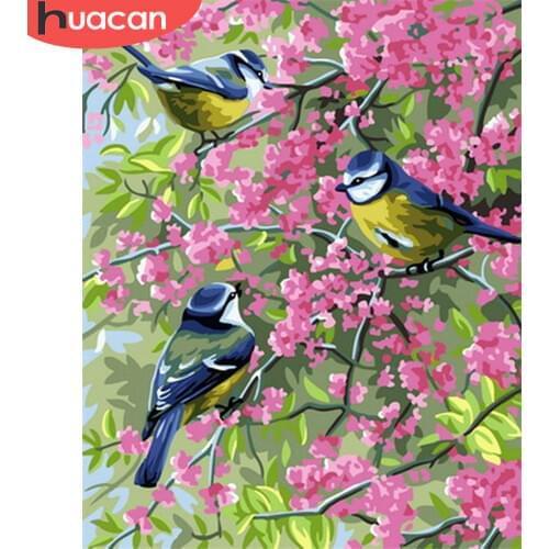 HUACAN Painting By Number Flower And Bird HandPainted Art Gift DIY Pictures Coloring By Number Animal Kits Home Decoration