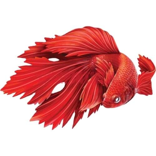 Interesting Car Sticker Lifelike for Betta Fish Motorcycle Car Stickers Scratch-proof Window Trunk Decal Waterproof Custom