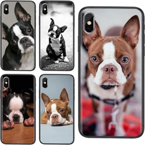 For Samsung Galaxy S20 Ultra 5G S30 Ultra S21 S10 S10E Plus Lite Boston Terrier Slim Black Etui Silicone Coque Incible