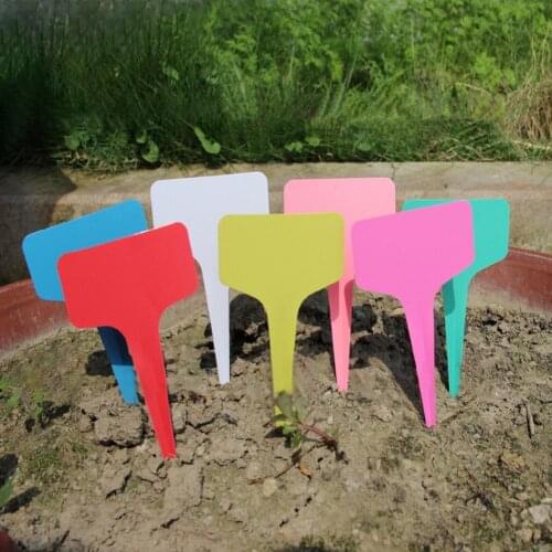 100Pcs/Bag Garden Labels Plant Classification Sorting Sign Tag Lightweight Waterproof PP Balcony Flower Marker Flower gardening