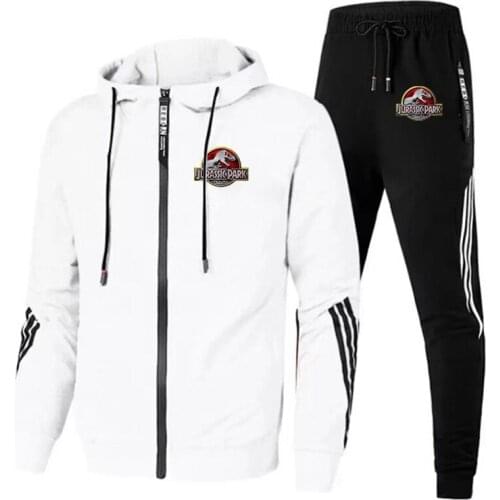 Jurassic New Striped Polyester Zipper Suit Solid Color Sports Suit Mens Hooded Sweater Mens Sportswear Casual Wear 2-piece Set