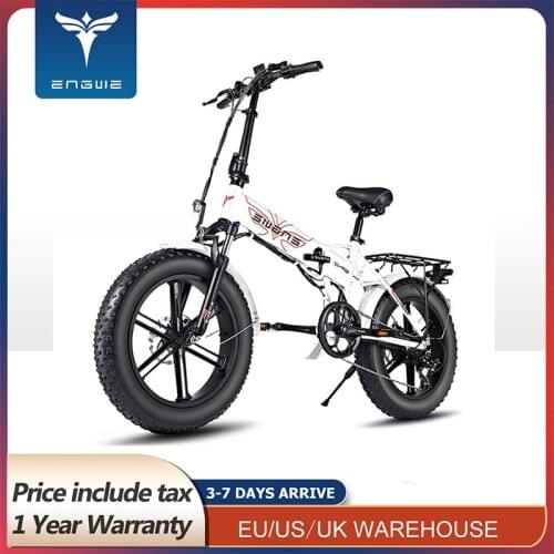 No Tax EU Shipping Electric bike 48V12.8A 20*4.0 fat Tire Bike 750W Powerful Motor electric Bicycle 45KM/H Mountain/snow e bike