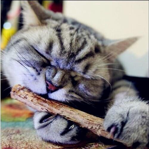 DCPET Comb For Cats