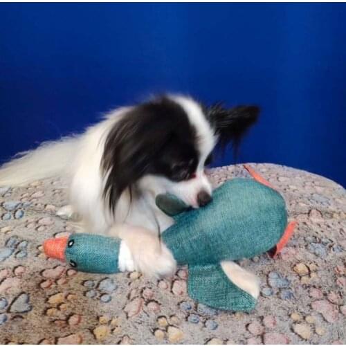 31cm Cat&DogToys Durable Plush Pet Toys Bite Resistant Denim Dog Clothes Puppy Chew Toys Pet Supplies Puppy Accessories