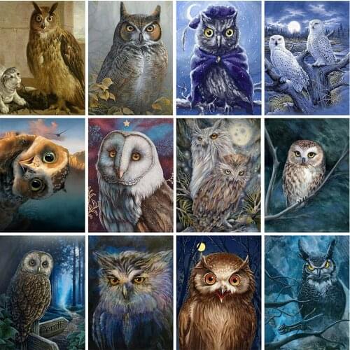 HUACAN 5d Diamond Painting Owl Mosaic Animal Home Decor DIY Diamond Embroidery Cross Stitch Rhinestones Pictures