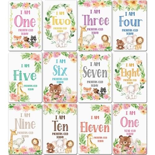 12 Sheet Baby Boy Moment Cards - Great Gift for Baby Showers or New Parents to Capture Each Newborns Milestones