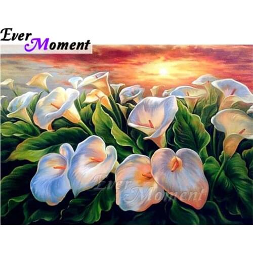 Ever Moment Diamond Painting White Morning Glory Flower Full Square Mosaic Picture Of Rhinestone Diamond Embroidery ASF1803