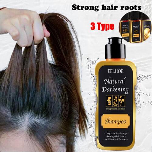 Chinese Herbal Hair Strengthen Shampoo Damaged Dyed Repair Darkening Polygonum multiflorum Serum Anti-Hair Loss Shampoo Unisex