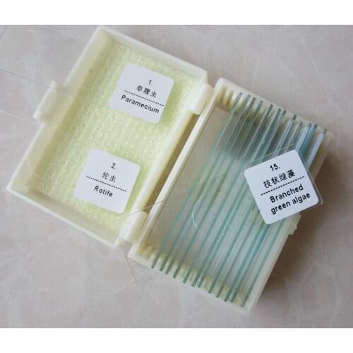 15pcs Glass Bio-microscope Prepared Basic Science Biological Microscope Slides Children Microscopy Specimen