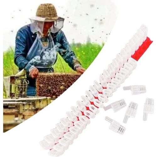 46Pcs Queen Bee Transporting Moving Isolator Hive Cage Catcher Protection Case w/ Transportation Strip Beekeeping Supplies