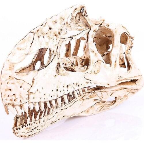 Resin single ridged dinosaur skeleton sketch exercise classroom teaching accessories Animal skull model