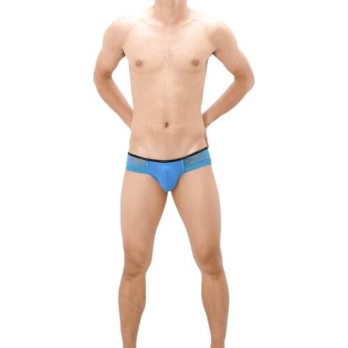 Sexy Men Underwear Briefs Shorts Transparent Mesh Panties Man Low Waist U Convex Pouch Underpants Cueca calzoncillo ropa M-XL