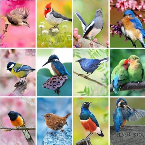 HUACAN 5d Diamond Painting Bird Mosaic Rhinestones Pictures DIY Diamond Embroidery Animal Wall Art Handmade Gift