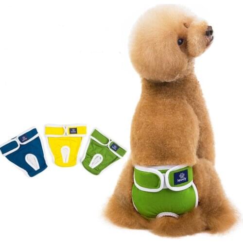 Qianyi Briefs For Dogs