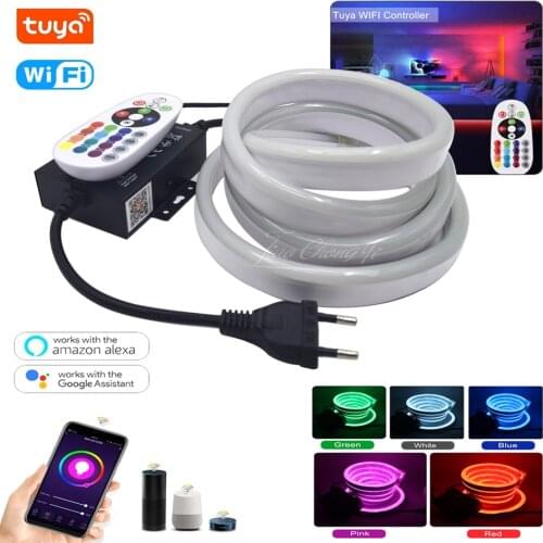 Smart Tuya WiFi neon light AC110V 220V 5050 RGB Tape Voice Control RGB LED Strip Waterproof Outdoor Garden