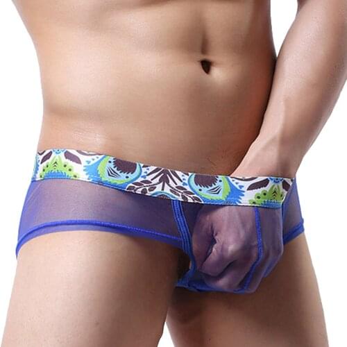 Mens Underwear Men Sexy Mesh Panties Thongs Breathable Briefs Sexy Light Triangular Underpants Gay Slip Homme Srting