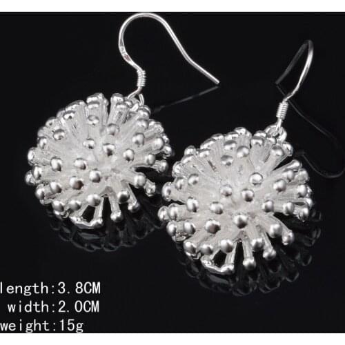 2020 New 925 Sterling Silver Earrings Firework Earrings Women Jewelry Gifts