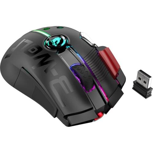 Wireless Mouse 2.4Ghz+wired connection Type-c RGB 12000DPI Mouse Wireless Computer LED Backlit Ergonomic Gaming Mouse For Laptop