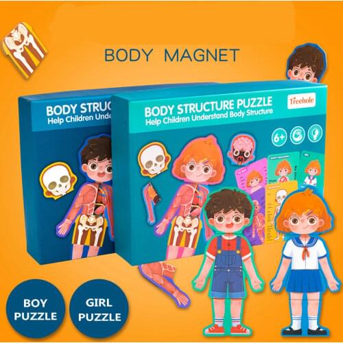 Teaching Human cognitive puzzles Body structure puzzle educational toys science Help children understand body structure wood toy