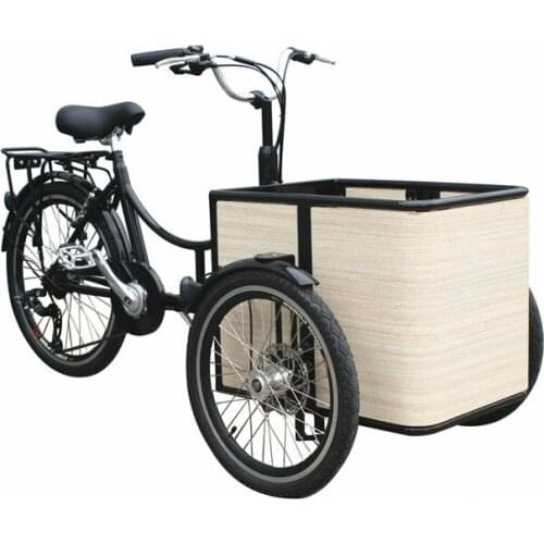 Mini Electric Mobile Cargo Bike Adult Tricycle Shopping Cart Trike Carrying Kids Children Pets Dog Bakfiets Customizable