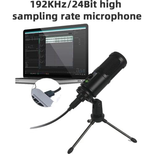 BM-65 USB interface Microphone Cantilever Stand Condenser Microphone Singing Laptop Recording Gaming Mic for PC Computer