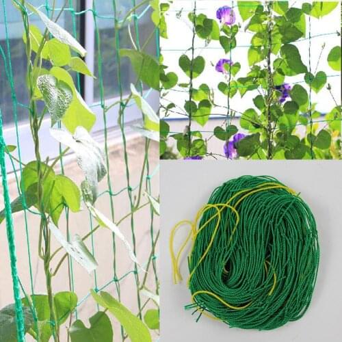 Plant Climbing Net Garden Trellis Net for Gardening Vine Fruit Flowers #CO