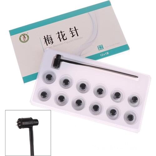 1Set Double Head Handle Chinese Acupuncture Needle Needle Seven Star Dermal Needle With 13 Replacable Head Skin Needle