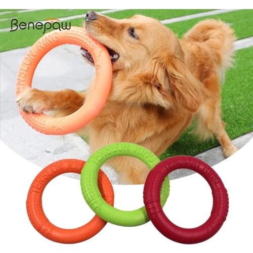 Benepaw Strong Dog Toys Interactive Sofe Flexible Puppy Floating Flying Discs Outdoor Game Durable Non-toxic Pet Chew Toys