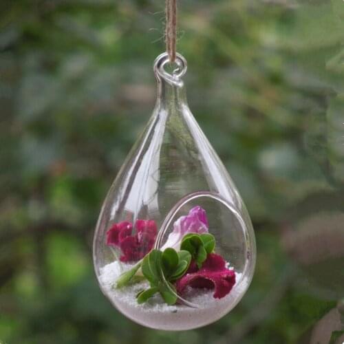 Free Shipping 2pcs/pack Different Size Handmade Hanging Glass Vase Fleshier Hydroponic Transparent Terrarium Home Decoration