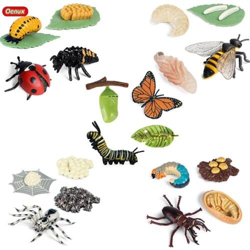 Oenux Newest Animals Growth Cycle Model Simulation Bee Spider Butterfly Action Figures Figurine Cute Baby Educational Kids Toy