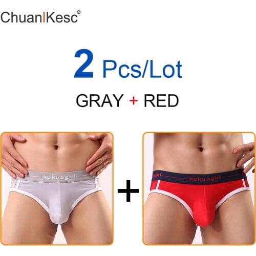Sexy Mens Underwear Breathable Mesh Protruding U-bag Underwear Low Waist Youth Mens Briefs Hot Selling Sexy Underwear 2Pcs/lot