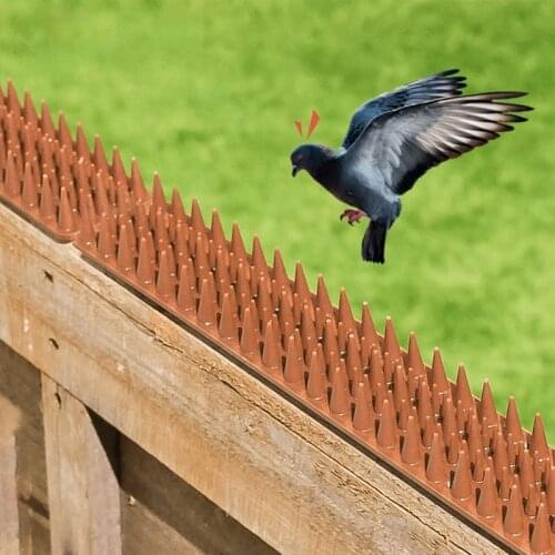 Anti-cat and anti-bird crawling stab pad to drive cats and anti-cat netting stab pad to drive away wild cat urine to prevent